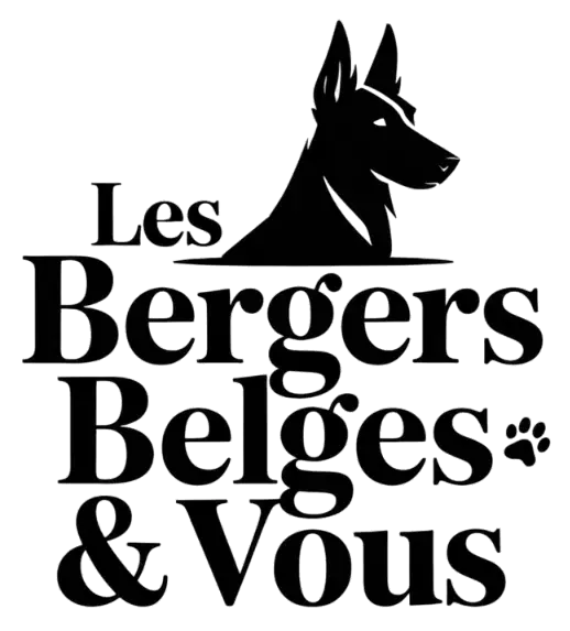Les Bergers Belges & Vous