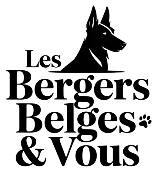 Les Bergers Belges & Vous